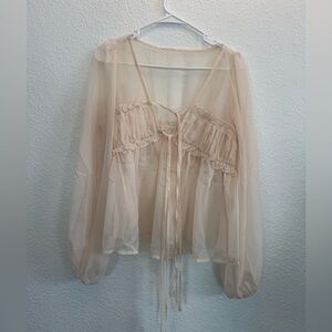 Elegant Sheer Light Beigh Blouse